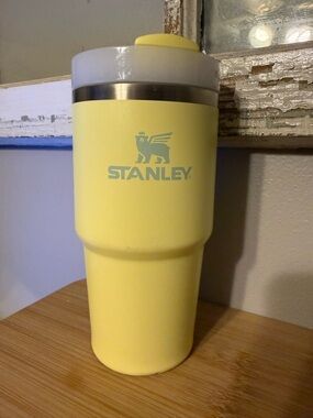 20 oz Stanley Quencher H2.0 FlowState Stainless Steel Insulated Tumbler with Lid